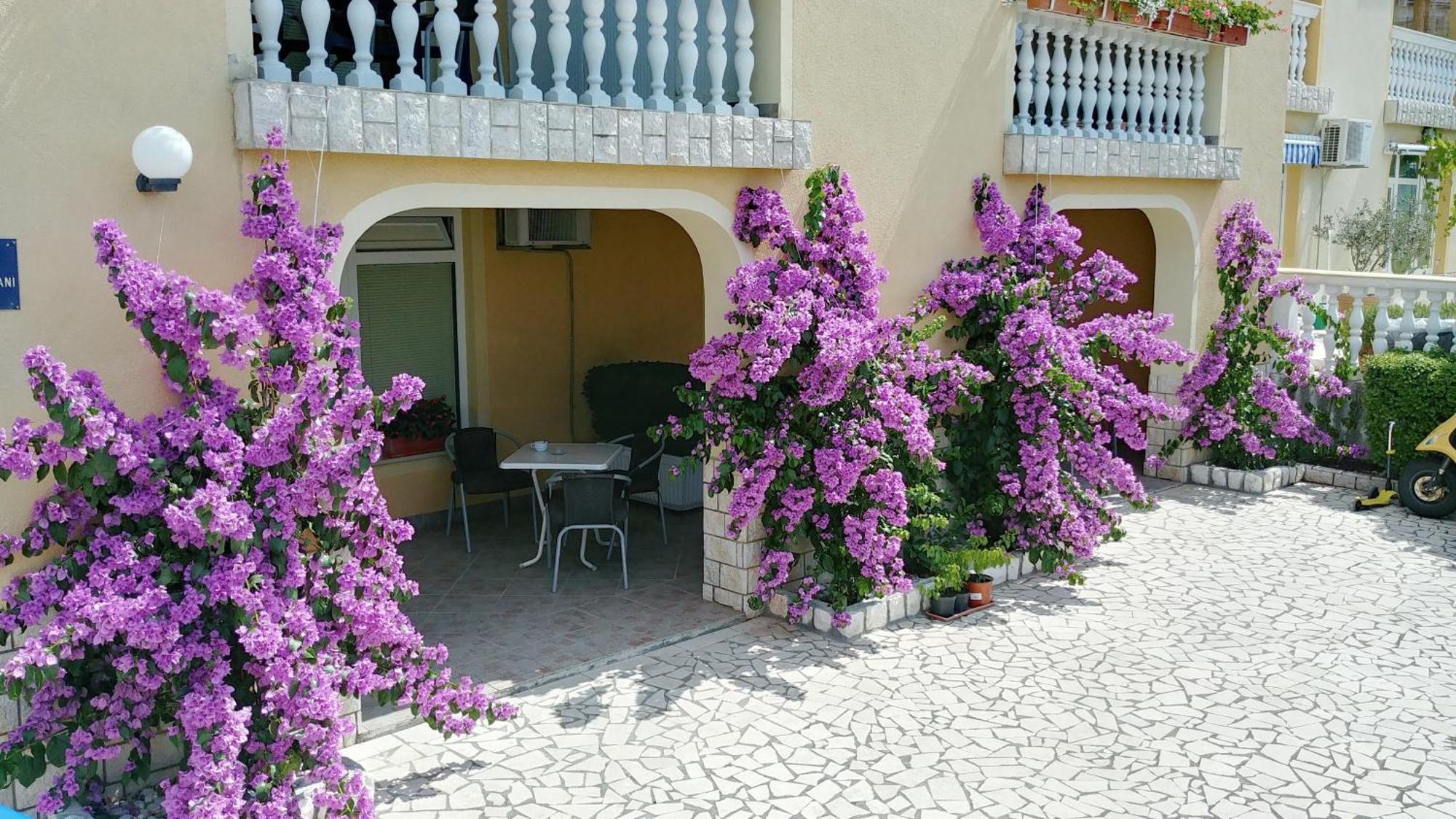 3 Palms Apartman