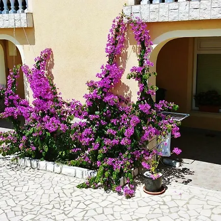 Apartments 3 Palms Crikvenica Exterior photo